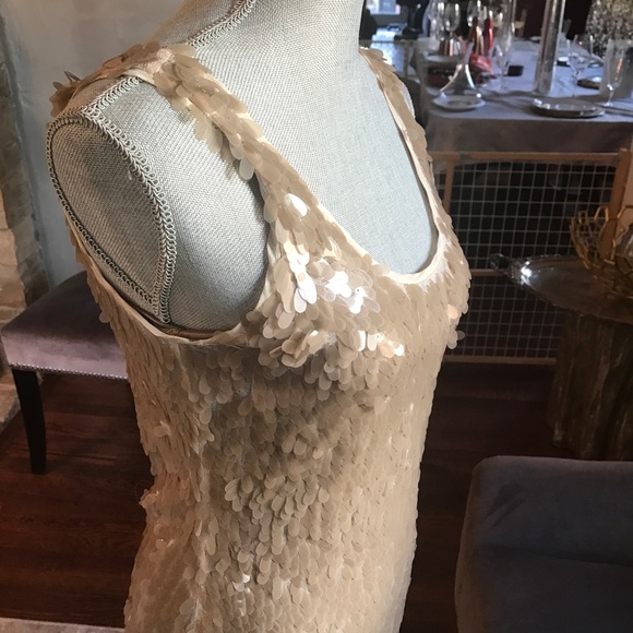 Banana Republic flesh tone beaded dress - Picture 8 of 8